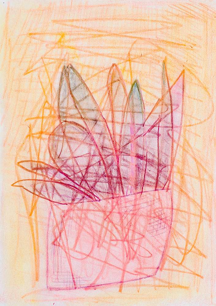 観葉植物｜しらいわゆうこ｜アトリエ・ヴァイス